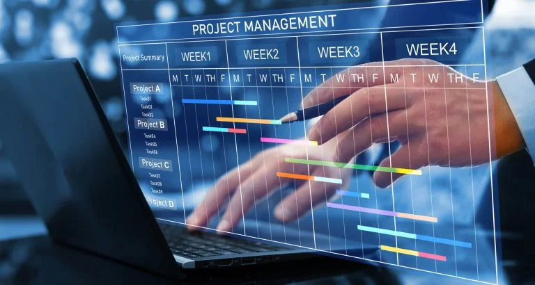 Global operations and project coordination